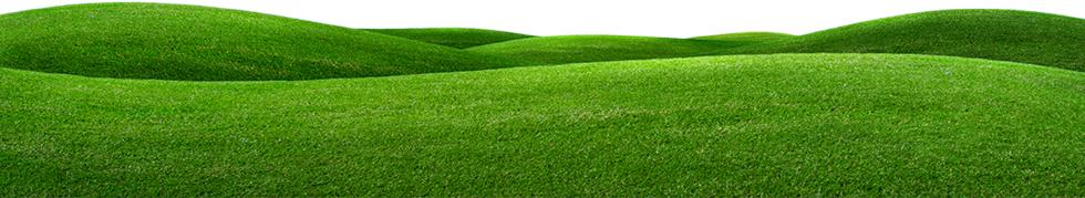 grass